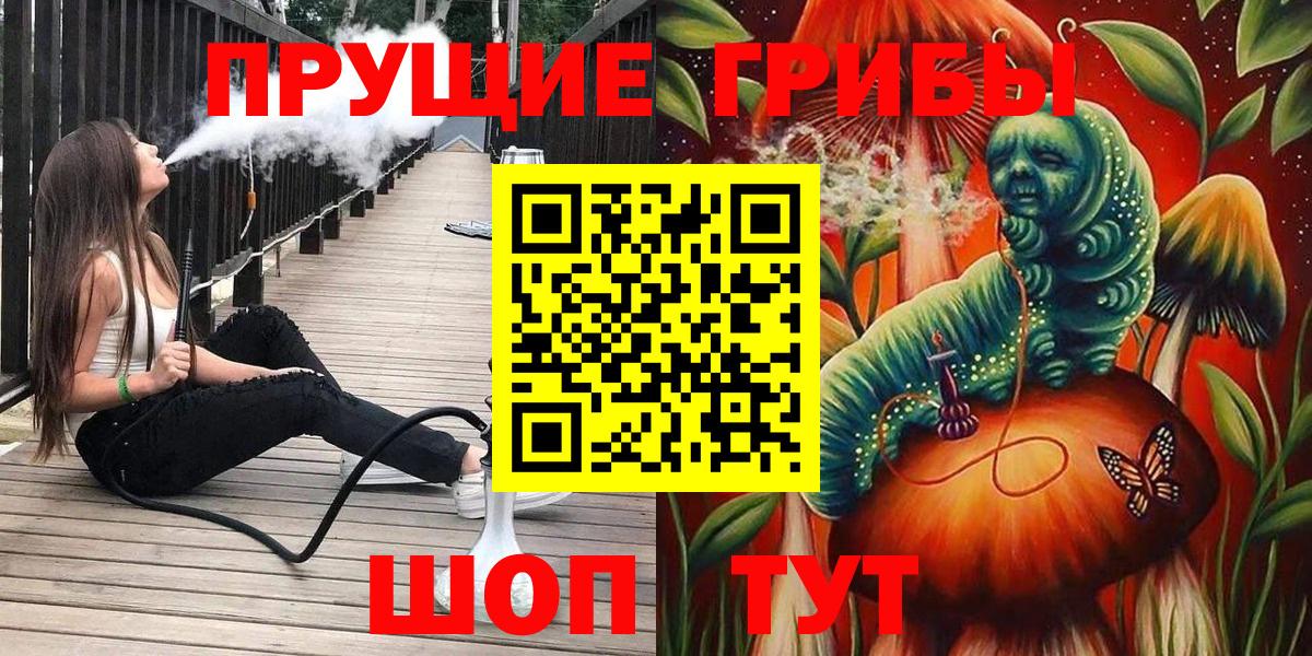 Галлюциногенные грибы Psilocybine cubensis Валуйки
